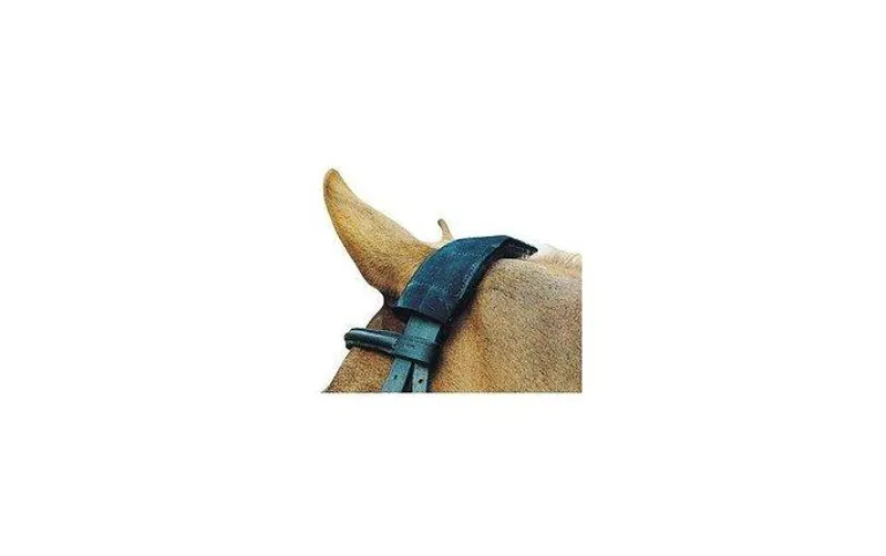 Prolite Headpiece Cushion